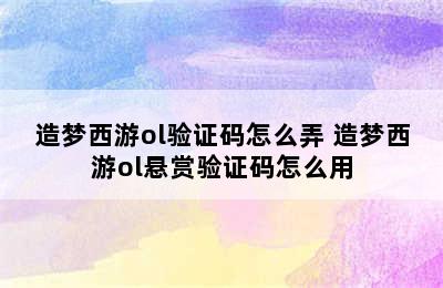 造梦西游ol验证码怎么弄 造梦西游ol悬赏验证码怎么用